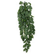 Komodo Two-Toned Leaf Hanging Plant 1ea/LG, 26 in