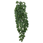 Komodo Two-Toned Leaf Hanging Plant 1ea/LG, 26 in