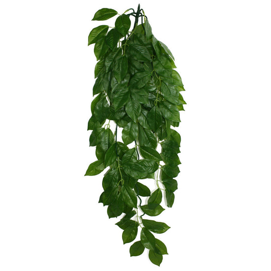 Komodo Green Leaf Hanging Plant 1ea/LG, 26 in for your Pet Reptile with Pet Store X.