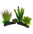 Komodo Cactus & Succulent Plant 1ea/One Size for your Pet Reptile with Pet Store X.