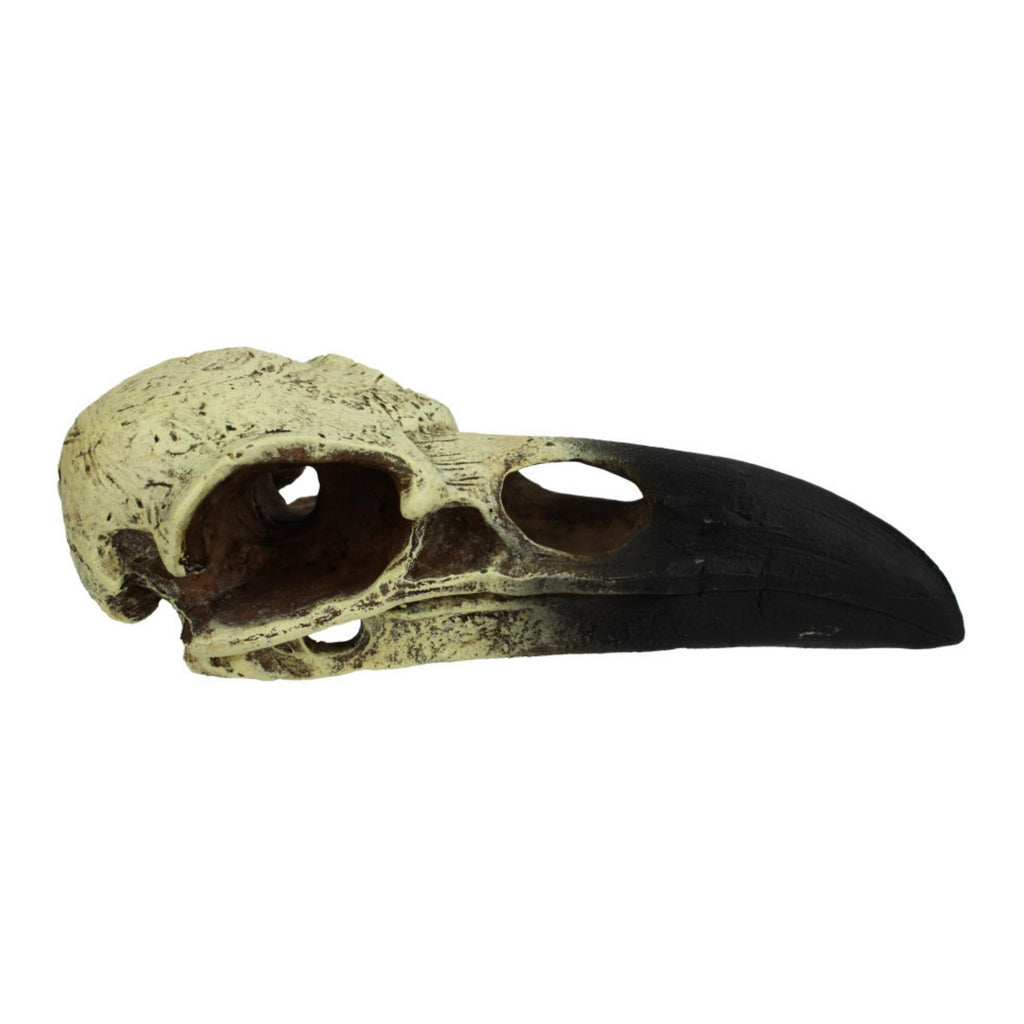 Komodo Raven Skull Hideout 1ea/MD, 6 in