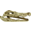 Komodo Alligator Skull Hideout 1ea/9 in for your Pet Reptile with Pet Store X.