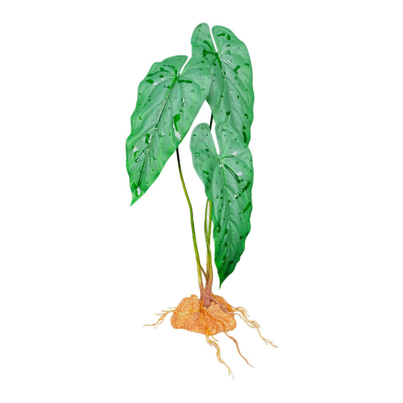 Komodo Standing Plant Emerald Vine, 1ea/18 in for your Pet Reptile with Pet Store X.