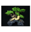 Komodo Bonsai Tree w/ Hide 1ea/18 in