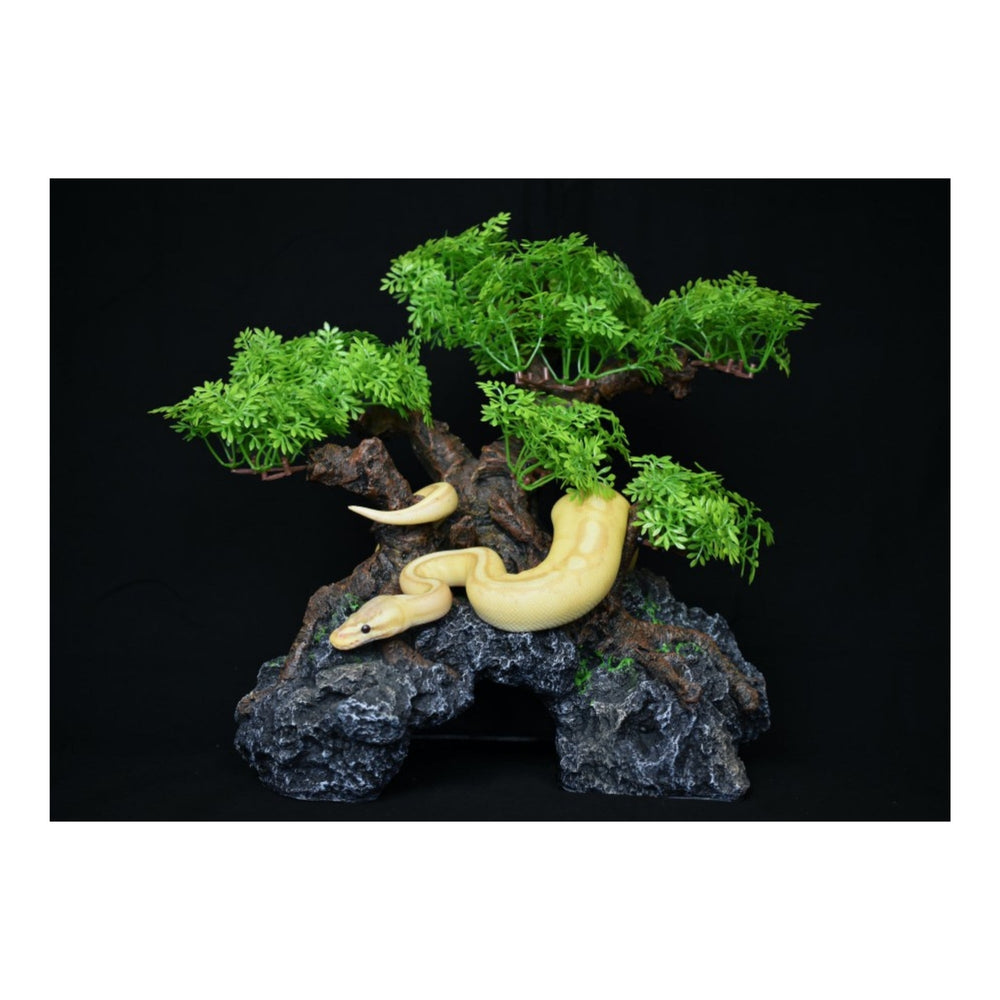 Komodo Bonsai Tree w/ Hide 1ea/18 in