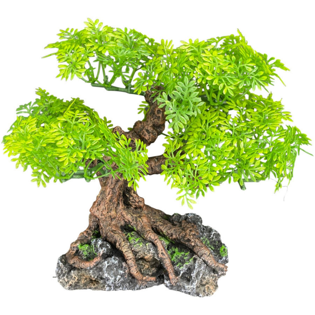 Komodo Bonsai Tree 1ea/17 in for your Pet Reptile with Pet Store X.