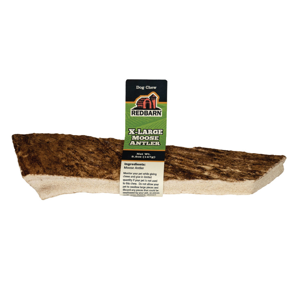 Redbarn Pet Products Moose Antler Dog Chew 1ea/XL