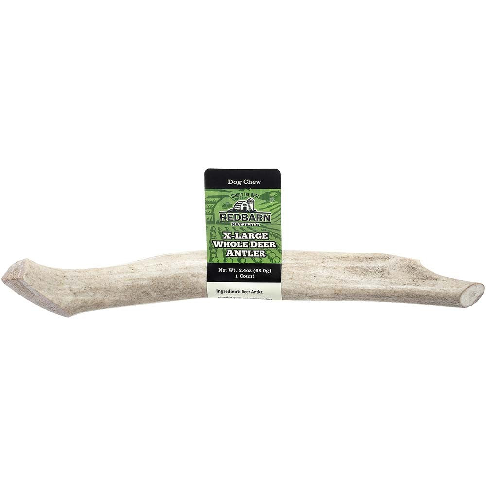 Redbarn Pet Products Natural Deer Antler Dog Treat Whole 1ea/XL, 2.4 oz