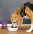 Hound And Gatos Dog Grain Free Turkey And Liver 13oz. (Case of 12)