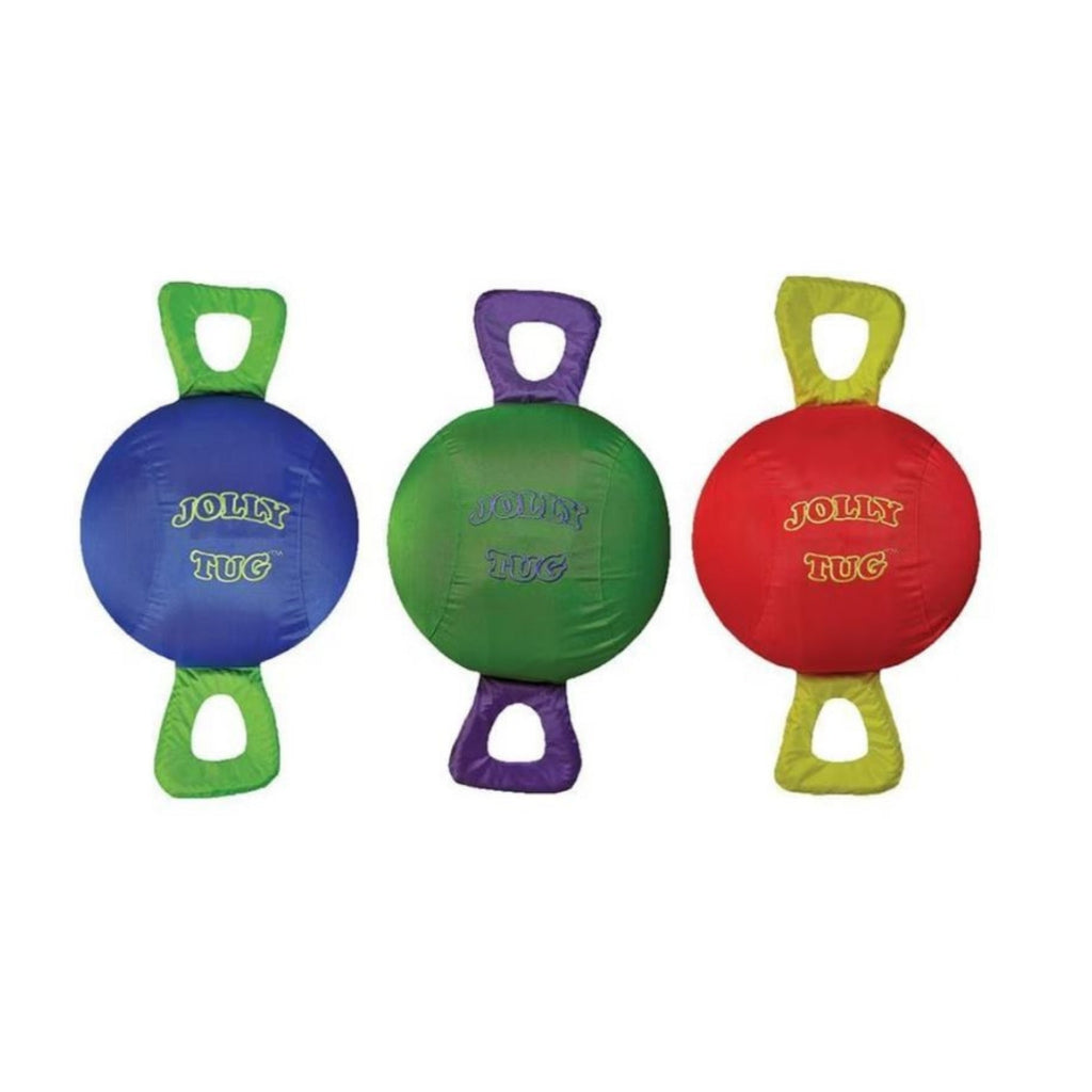 Jolly Pets Tug Assorted Medium