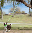 Jolly Pets Tree Tugger Bungee Green Large