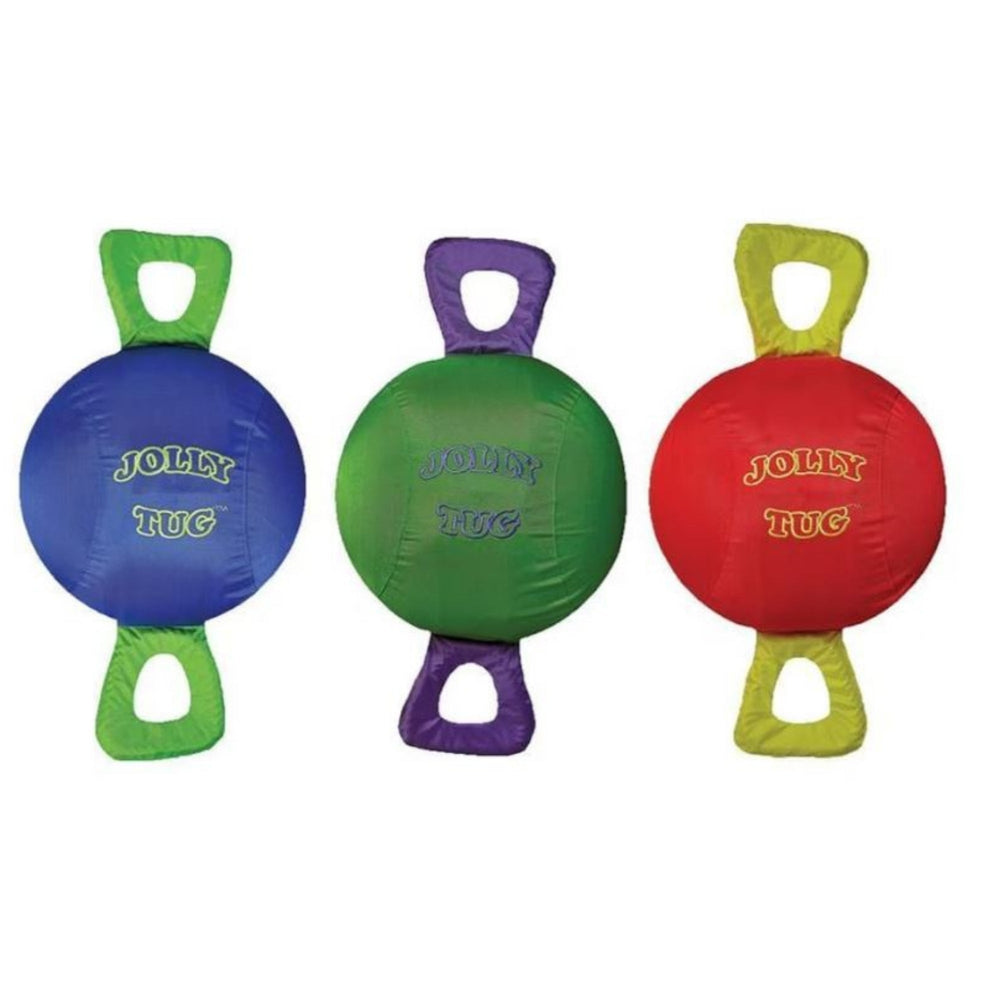 Jolly Pets Tug Assorted Large