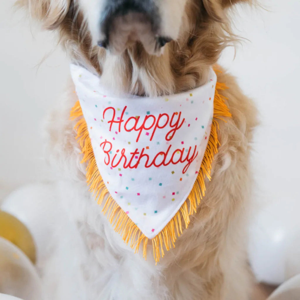 Zippypaws Birthday Bandana And Bone One Size