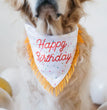 Zippypaws Birthday Bandana And Bone One Size