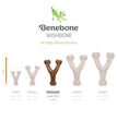 Benebone Dental Chew & Wishbone Dog Chew Toy Bacon, 1ea/MD|2 pk