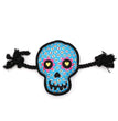 Worthy Dog Sugar Skull Small for your Pet Dog with Pet Store X.