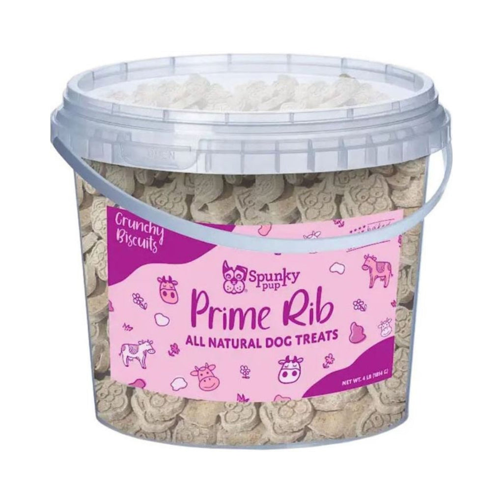 Spunkypup Crunchy Biscuit Dog Treats Bucket Prime Rib