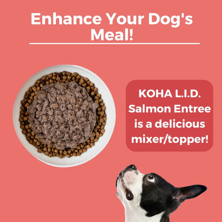 Koha Dog Limited Ingredient Grain Free 90% Salmon 13oz. (Case of 12)