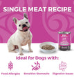 Koha Dog Limited Ingredient Grain Free 90% Pork 13oz. (Case of 12)