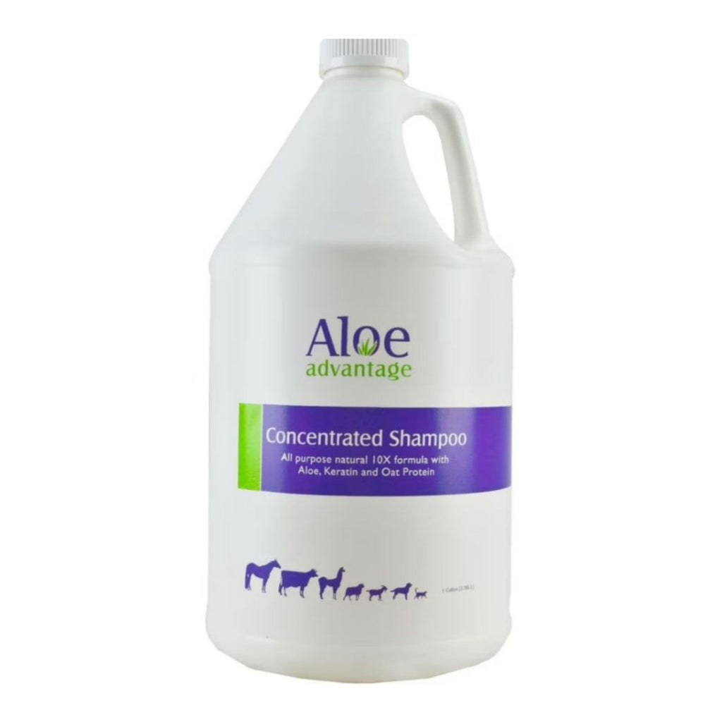 Aloe Advantage Concentrate Shampoo 10X 1gal.