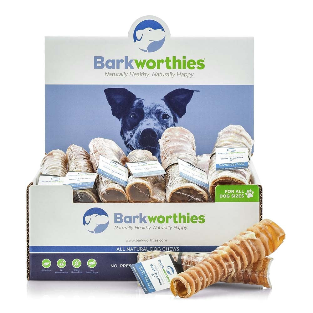 Barkworthies Beef Trachea 12ea/6 in, 12 ct for your Pet Dog with Pet Store X!