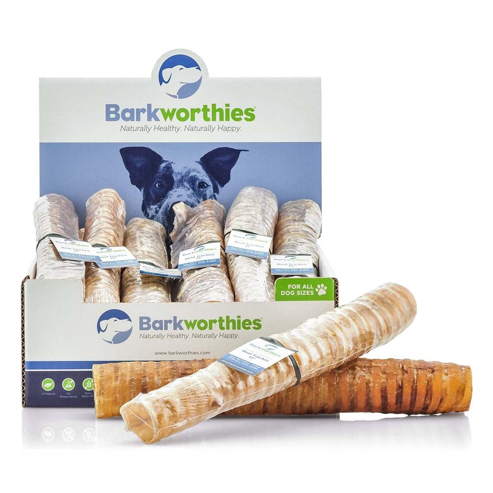 Barkworthies Beef Trachea 6ea/12 in, 6 ct for your Pet Dog with Pet Store X!