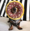 ZippyPaws Donutz Dog Toy Chocolate 1ea/MD