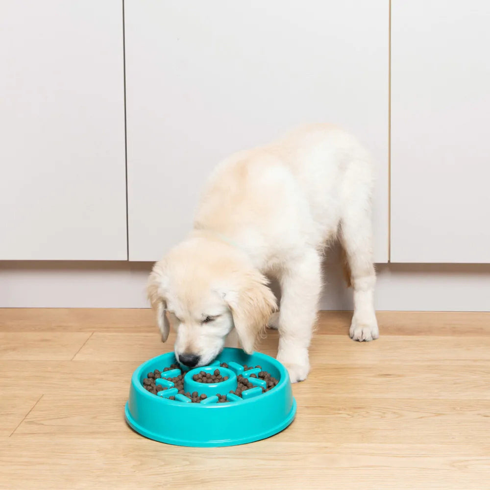 Zippypaws Happy Bowl Slow Feeder Donut Green Medium