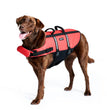 Zippypaws Adventure Life Jacket Red/Black Small