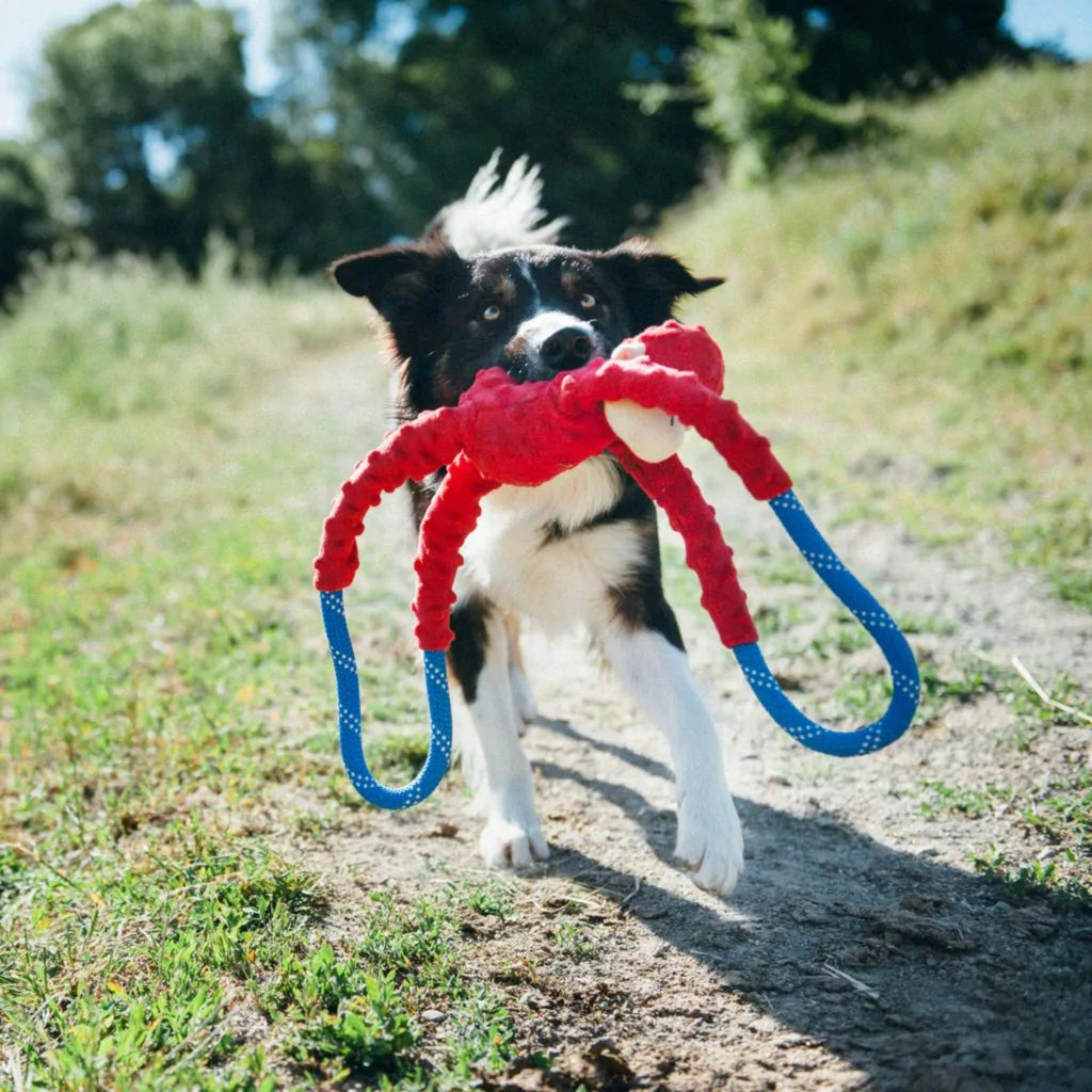 Zippypaws Ropetugz Monkey Red Large