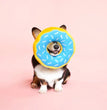 Zippypaws Donut Blueberry Blue Jumbo