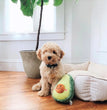 ZippyPaws NomNomz Dog Toy Avocado 1ea/MD