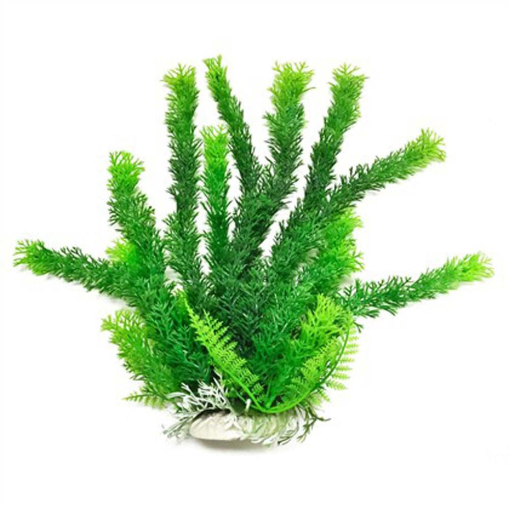 Aquatop Cabomba Aquarium Plant with Weighted Base Green 1ea/6 in for your Pet Fish with Pet Store X!