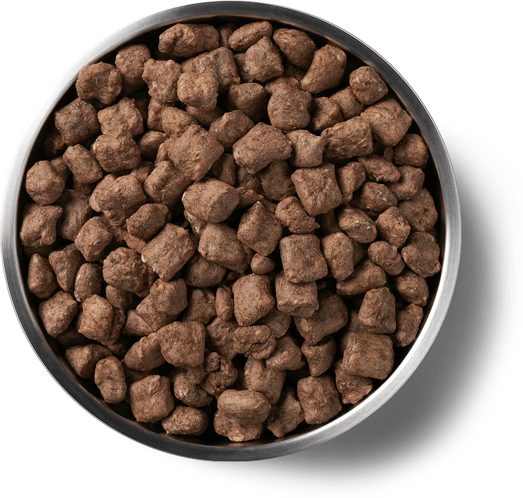 Vital Essentials Dog Freeze-Dried Nibs Beef 14oz.