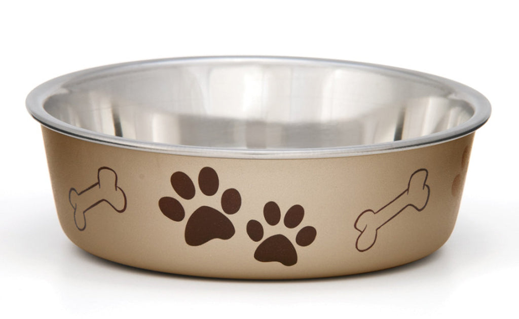 Loving Pets Metallic Dog Bowl Champagne 1ea/SM for your Pet Dog with Pet Store X.