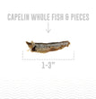 Icelandic Dog Capelin Fsh Whl Bulk 12 oz. 8 ea Per Box