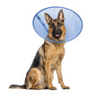 Calm Paws E-Collar Blue Large 9.5-15.5in.