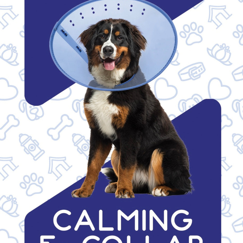 Calm Paws E-Collar Blue XXLarge 1525-25in for your Pet Dog with Pet Store X.