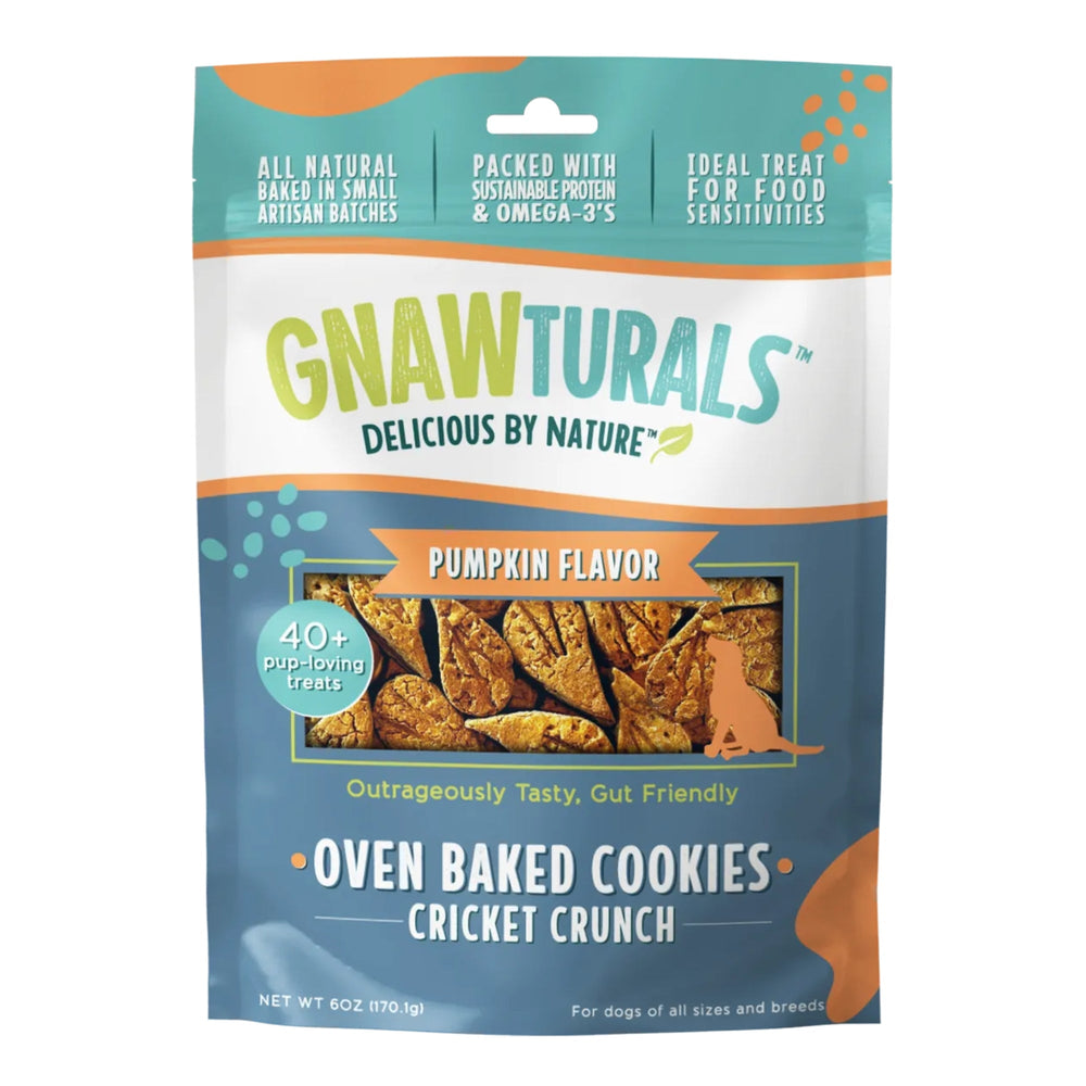 Gnawturals Oven Baked Cookies Cricket Crunch Pumpkin 6oz 40 Count for your Pet Dog with Pet Store X!