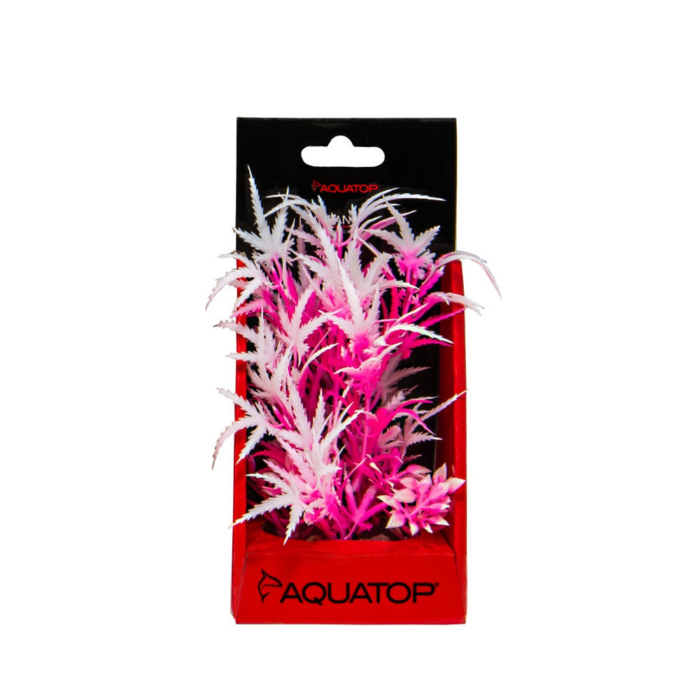 Aquatop Aquatop Vibrant Fluorescent Cannabis Plant Pink Frost, 1ea/6 in