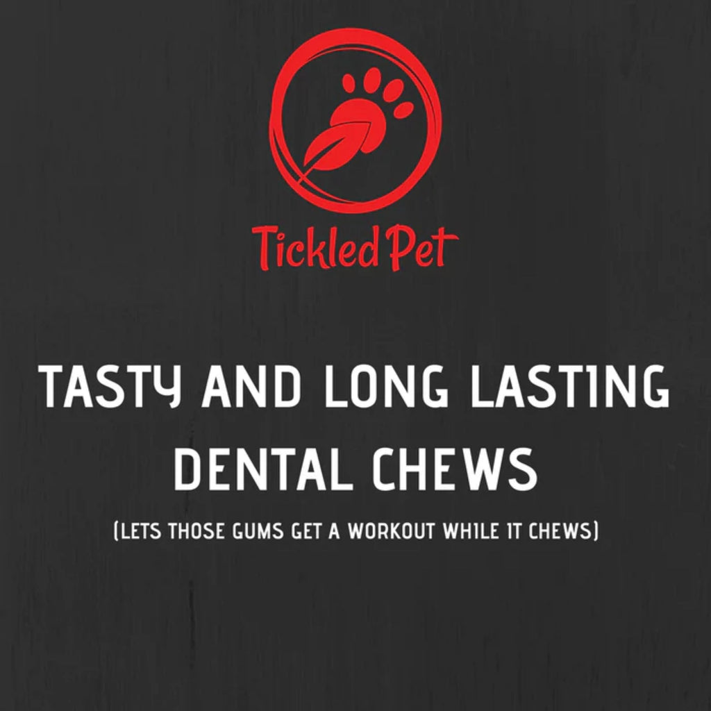 Tickled Pet Dog 6oz. Salmon Skins Flat