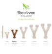 Benebone Wishbone Durable Dog Chew Toy Bacon, 1ea/SM