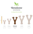 Benebone Wishbone Durable Dog Chew Toy Chicken, 1ea/MD