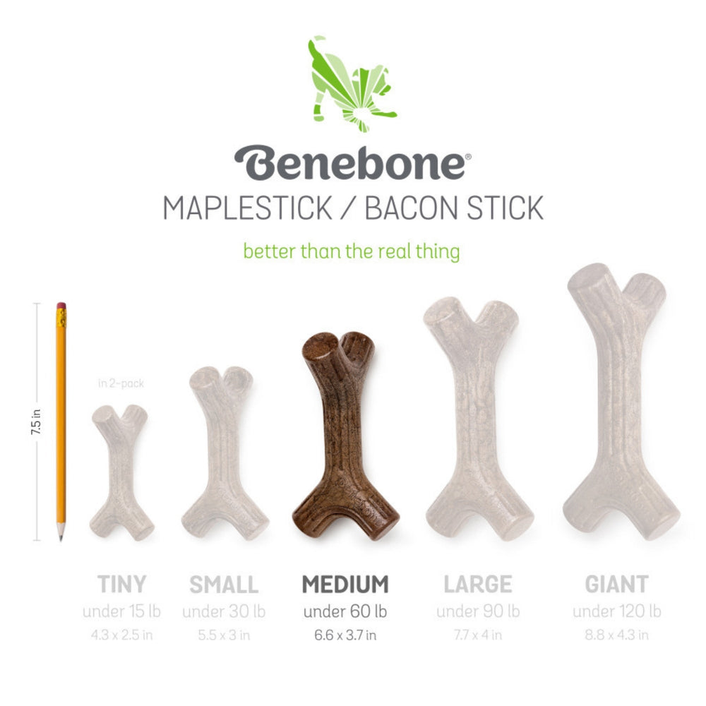 Benebone Stick Durable Dog Chew Toy Bacon, 1ea/MD