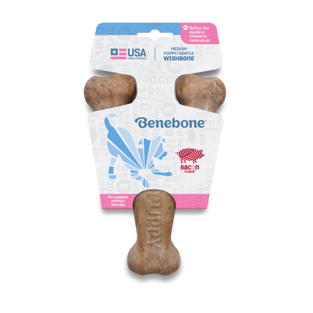 Benebone Puppy Wishbone Dog Chew Toy Bacon, 1ea/MD for your Pet Dog with Pet Store X.