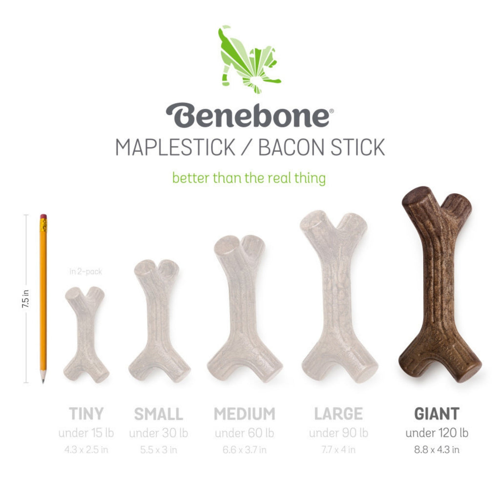 Benebone Maplestick Durable Dog Chew Toy 1ea/XL