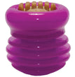 Starmark Groovy Ball with USA Made Treat Purple 1ea/MD for your Pet Dog with Pet Store X.