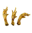 Farmland Traditions Chicken Feet Dog Treats 1ea/2.1 lb