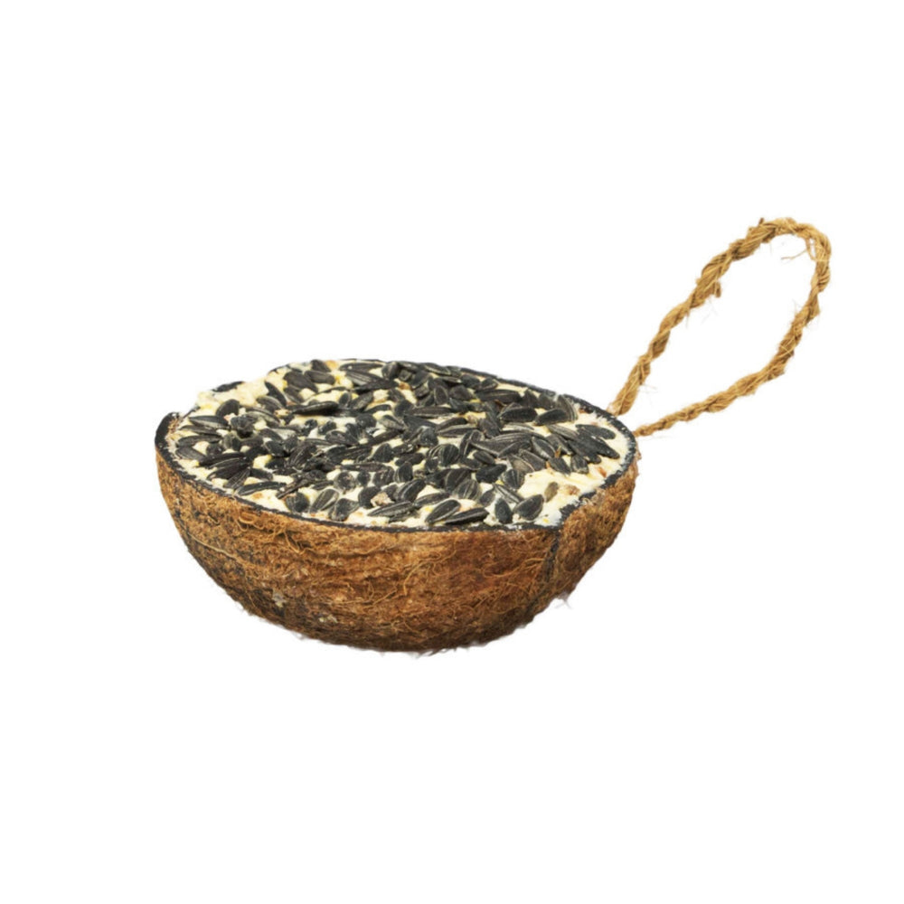 A & E Cages Garden & Fun Half Coconut w/Suet & Black Oil Sunflower Bird Treat 1ea/290 g - Pet Store X