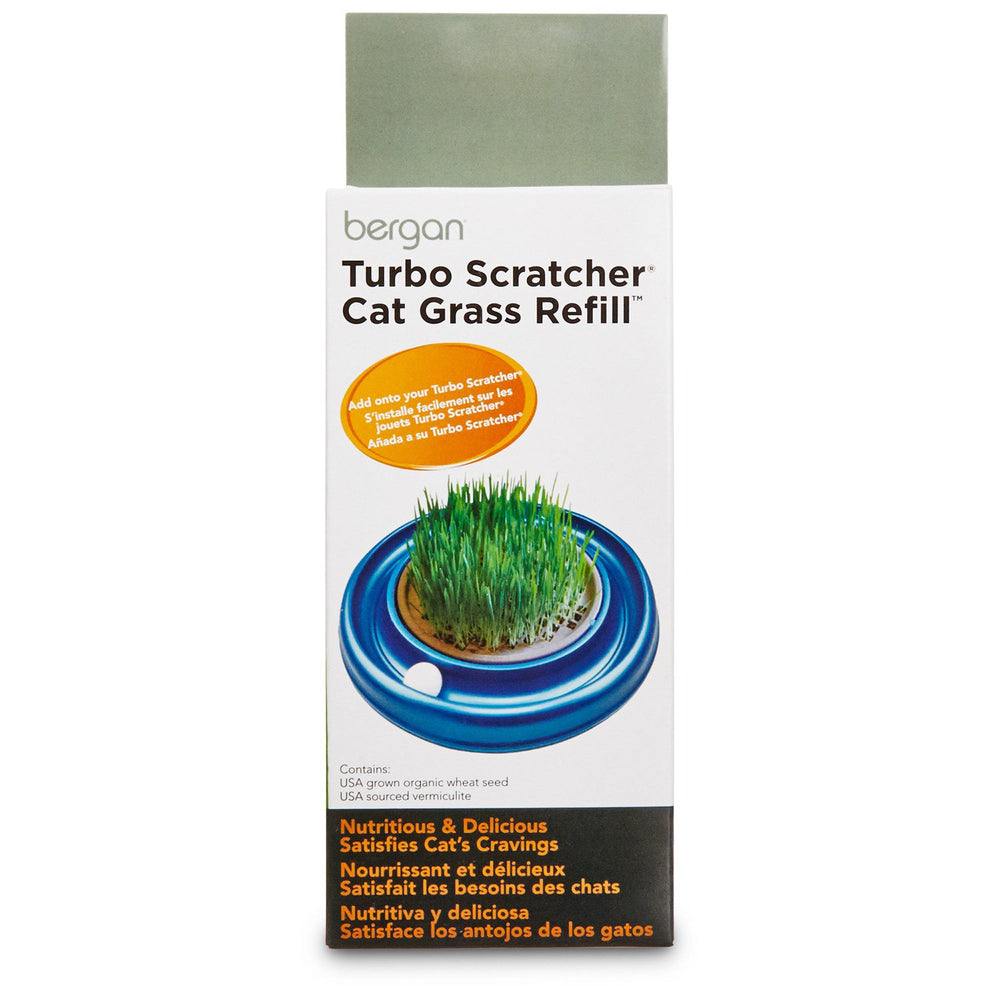 Bergan Turbo Cat Grass Refill 1 Pack - Pet Store X